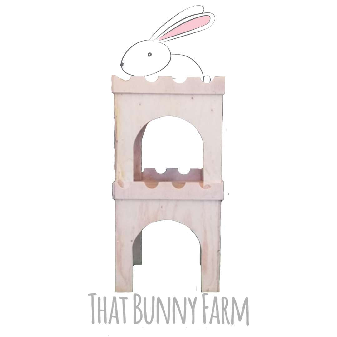 BUNNY PLAYTIME – Bunny Wonderland