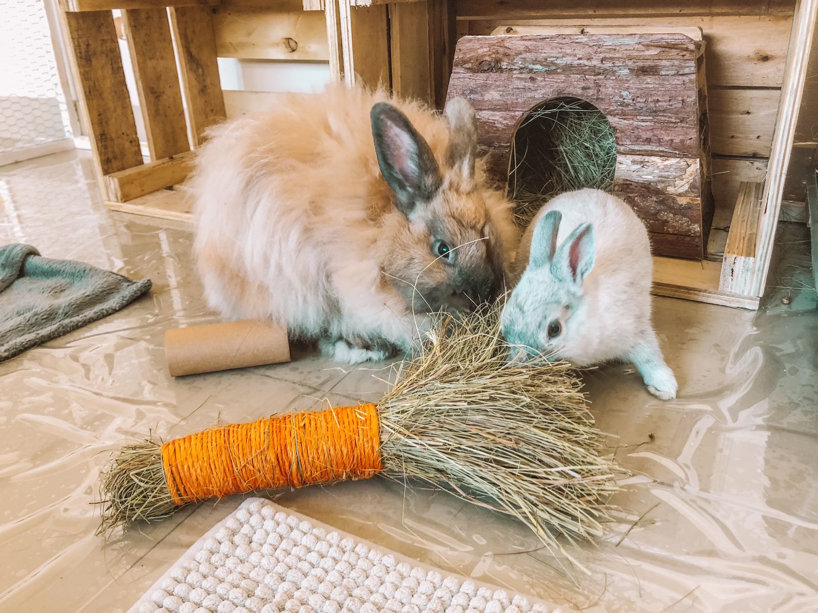 Safe things for rabbits to best sale chew on