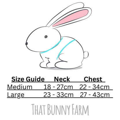 Rabbit Harness Collection