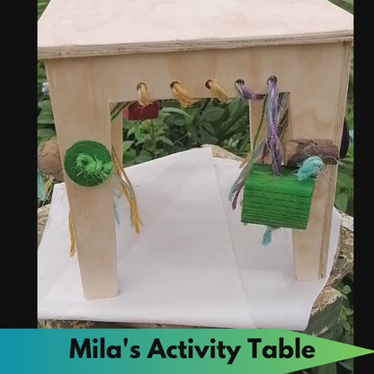 Mila's Activity Table